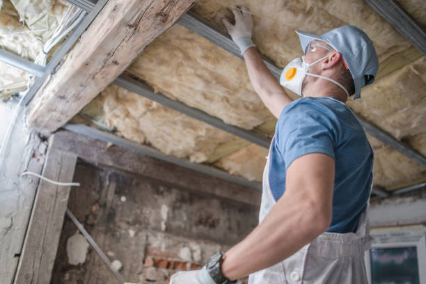 Best Local Insulation Services  in Graham, NC