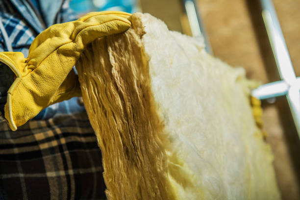 Best Insulation Removal  in Graham, NC