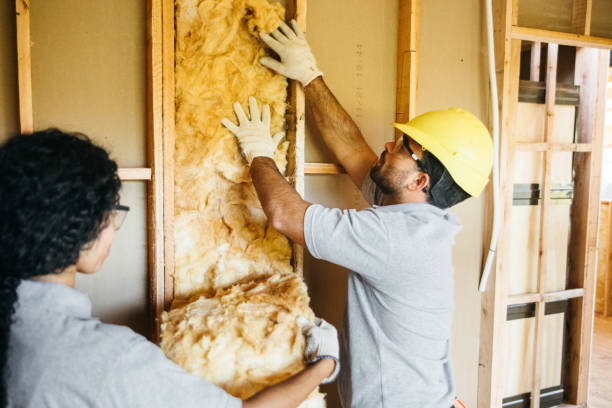 Best Cellulose Insulation  in Graham, NC