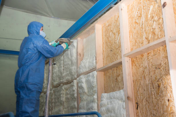 Best Insulation Removal Services  in Graham, NC